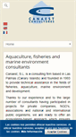 Mobile Screenshot of canaest.com